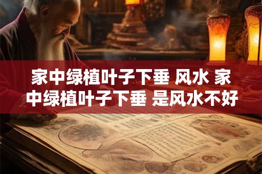 家中绿植叶子下垂 风水 家中绿植叶子下垂 是风水不好吗