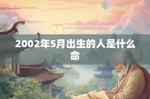 2002年5月出生的人是什么命