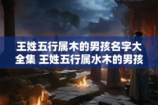王姓五行属木的男孩名字大全集 王姓五行属水木的男孩名