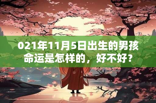 021年11月5日出生的男孩命运是怎样的，好不好？