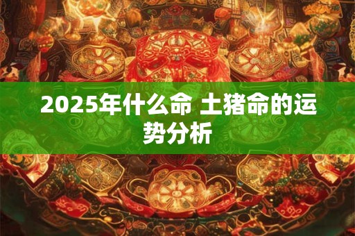 2025年什么命 土猪命的运势分析