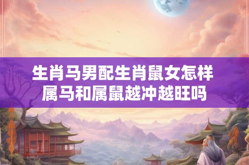 生肖马男配生肖鼠女怎样 属马和属鼠越冲越旺吗