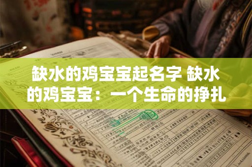 缺水的鸡宝宝起名字 缺水的鸡宝宝：一个生命的挣扎与重生