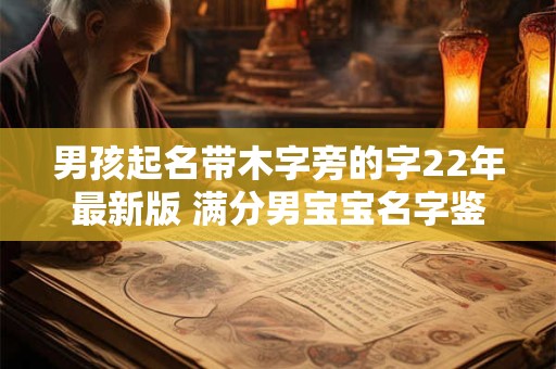 男孩起名带木字旁的字22年最新版 满分男宝宝名字鉴赏