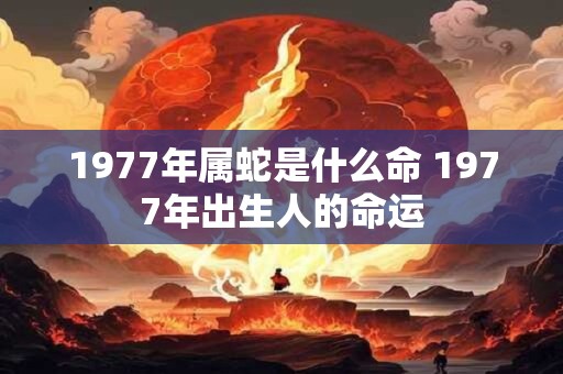 1977年属蛇是什么命 1977年出生人的命运