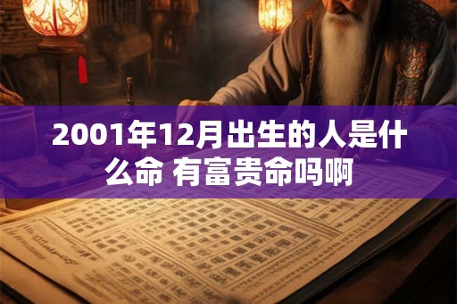 2001年12月出生的人是什么命 有富贵命吗啊