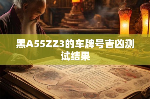 黑A55ZZ3的车牌号吉凶测试结果
