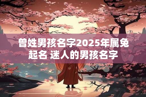 曾姓男孩名字2025年属兔起名 迷人的男孩名字