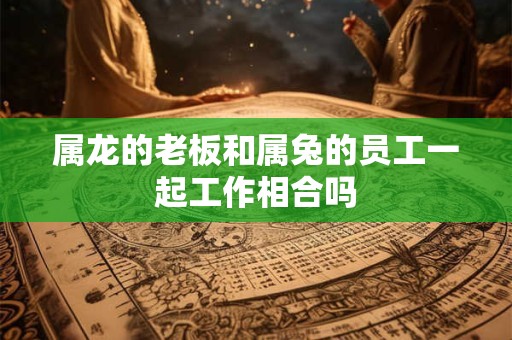 属龙的老板和属兔的员工一起工作相合吗