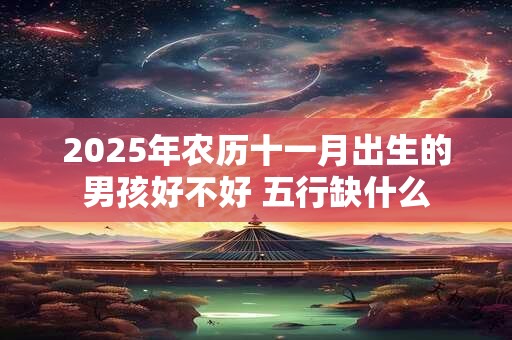 2025年农历十一月出生的男孩好不好 五行缺什么