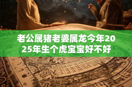 老公属猪老婆属龙今年2025年生个虎宝宝好不好 老公属猪老婆属龙今年2025年生个虎宝宝好不好