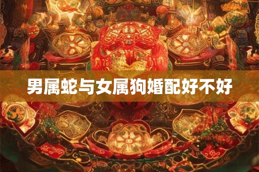 男属蛇与女属狗婚配好不好