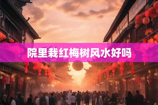 院里栽红梅树风水好吗