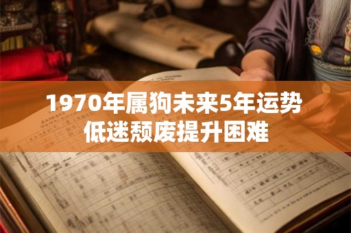 1970年属狗未来5年运势 低迷颓废提升困难