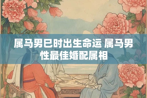 属马男巳时出生命运 属马男性最佳婚配属相