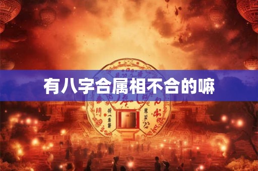 有八字合属相不合的嘛