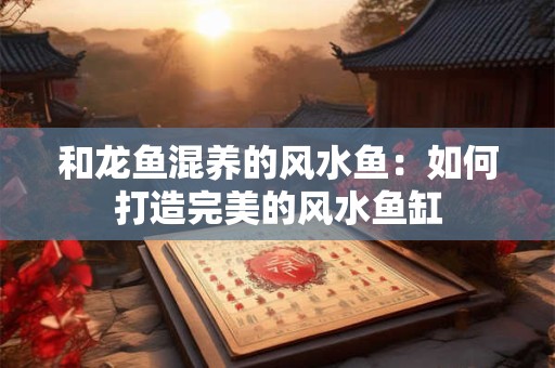 和龙鱼混养的风水鱼：如何打造完美的风水鱼缸
