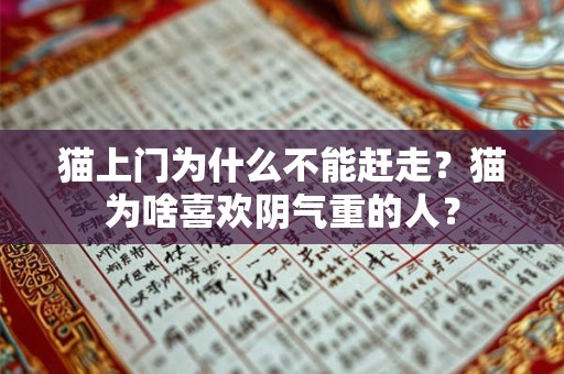 猫上门为什么不能赶走？猫为啥喜欢阴气重的人？