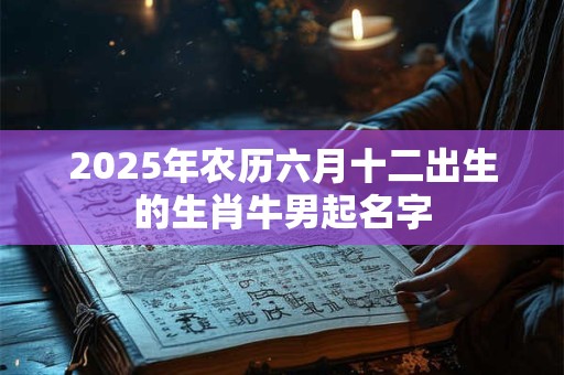 2025年农历六月十二出生的生肖牛男起名字
