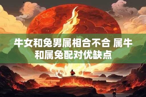 牛女和兔男属相合不合 属牛和属兔配对优缺点