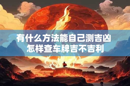有什么方法能自己测吉凶 怎样查车牌吉不吉利