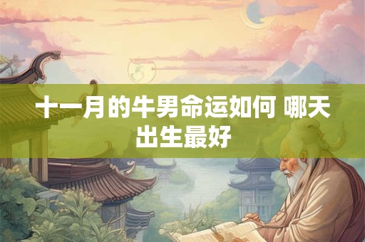 十一月的牛男命运如何 哪天出生最好