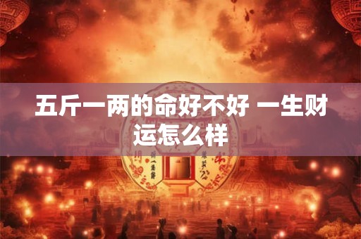 五斤一两的命好不好 一生财运怎么样