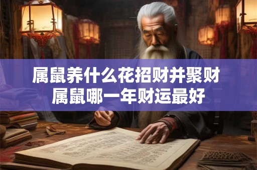 属鼠养什么花招财并聚财 属鼠哪一年财运最好