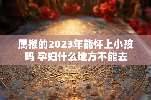 属猴的2023年能怀上小孩吗 孕妇什么地方不能去