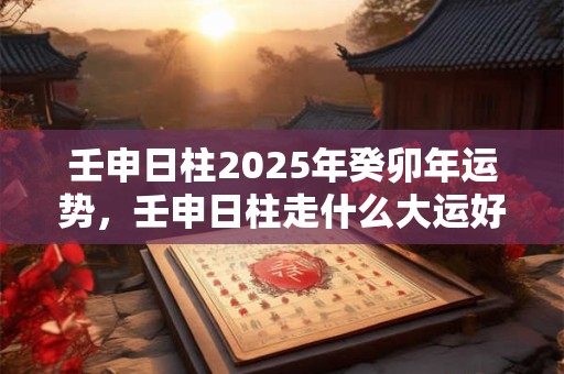 壬申日柱2025年癸卯年运势，壬申日柱走什么大运好？