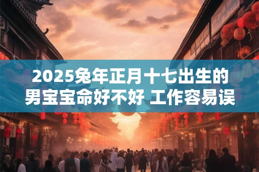 2025兔年正月十七出生的男宝宝命好不好 工作容易误入歧途