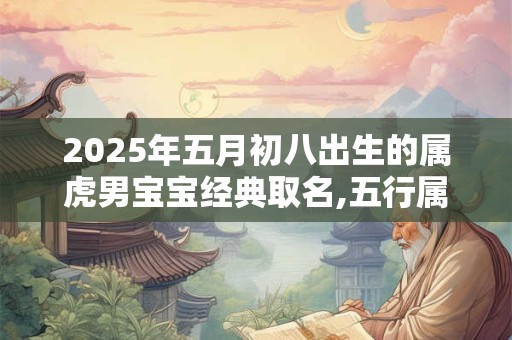 2025年五月初八出生的属虎男宝宝经典取名,五行属什么