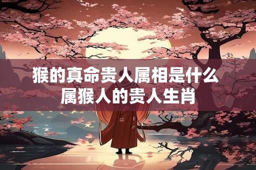 猴的真命贵人属相是什么 属猴人的贵人生肖