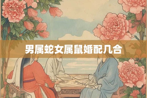 男属蛇女属鼠婚配几合