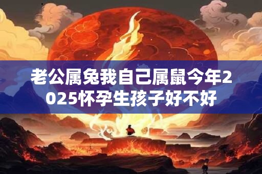 老公属兔我自己属鼠今年2025怀孕生孩子好不好