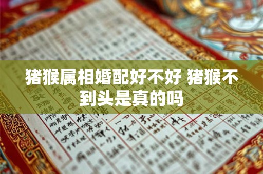 猪猴属相婚配好不好 猪猴不到头是真的吗