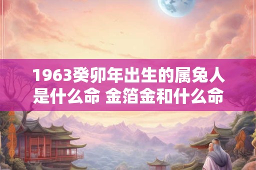 1963癸卯年出生的属兔人是什么命 金箔金和什么命最配
