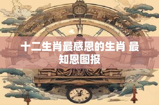十二生肖最感恩的生肖 最知恩图报