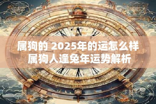 属狗的 2025年的运怎么样 属狗人逢兔年运势解析