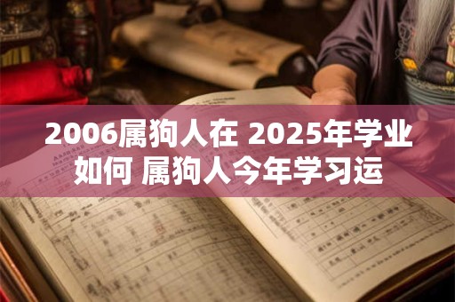 2006属狗人在 2025年学业如何 属狗人今年学习运