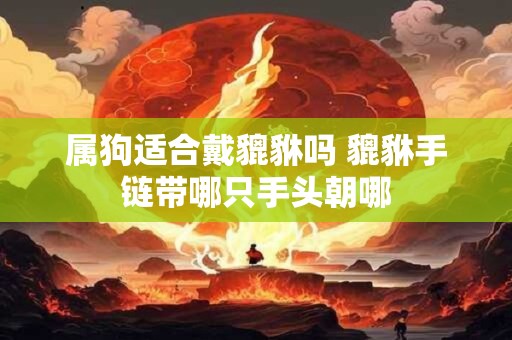 属狗适合戴貔貅吗 貔貅手链带哪只手头朝哪