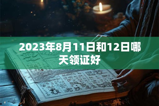 2023年8月11日和12日哪天领证好