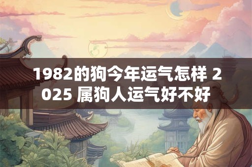 1982的狗今年运气怎样 2025 属狗人运气好不好