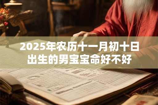 2025年农历十一月初十日出生的男宝宝命好不好