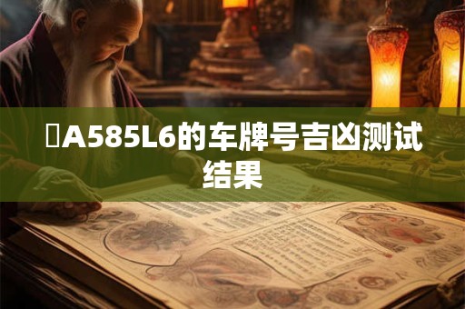 遼A585L6的车牌号吉凶测试结果