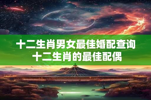 十二生肖男女最佳婚配查询 十二生肖的最佳配偶