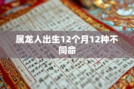 属龙人出生12个月12种不同命