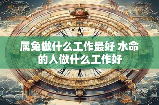 属兔做什么工作最好 水命的人做什么工作好