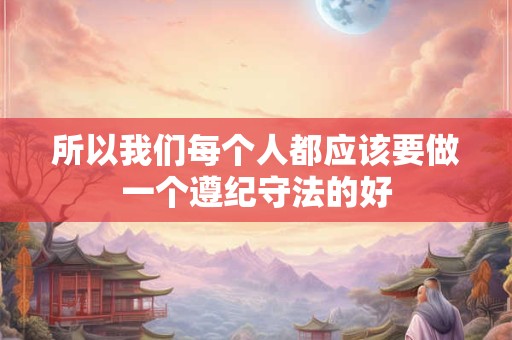 所以我们每个人都应该要做一个遵纪守法的好