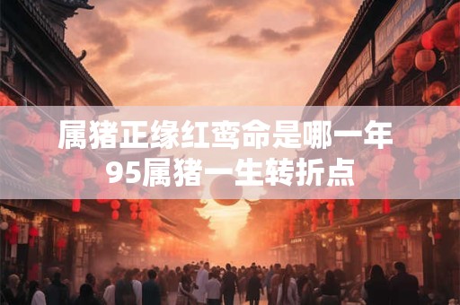 属猪正缘红鸾命是哪一年 95属猪一生转折点
